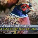 여름 보양식, 평양냉면 이미지