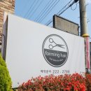 헤어크리닉 이미지