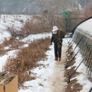 도산무청영농조합법인 이미지