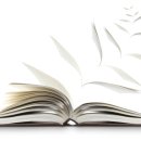 꿈의 비행 이미지