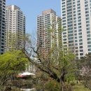 서초정부동산공인중개사사무소 이미지