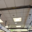에스엔제이 푸드(S&J FOOD) | 5박 6일 도쿄 여행후기-2일차 해리 포터 스튜디오