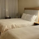 제주로베로 이미지