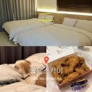 스카이호텔 | 강원도 속초 애견동반 가성비 숙소 추천 월드스카이호텔 후기