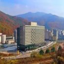 삼척시종합운동장내 장애인탁구장 | 정선 인투라온 호텔 (호텔)(대한민국) 특가_외 추천 인기숙소
