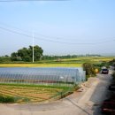 성덕경로당 이미지