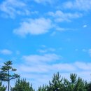 파인아트플러스주 | 강릉세일페스타로 숙소 추가 할인 받아 오션뷰 호텔 강릉 파인아트라벨 저렴하게 다녀온 후기