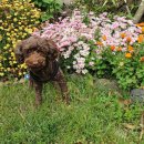 은해 농장 이미지