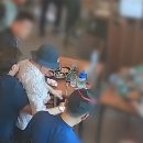 비응119안전센터 이미지