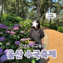 고래세상 | 장생포 수국축제 장생포 고래문화마을 첫날 후기 주차, 입장권