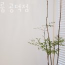 차홍룸 공덕점 이미지
