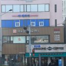 애견미용실 | 봉천동 애견미용 추천 | 노견도 가능한 “ 이로애견미용실 ” 후기