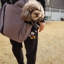위고텍