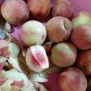 첫골농장 이미지