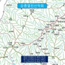 구룡약품 이미지