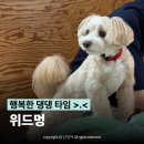 멍이살롱 | [송파/석촌 애견카페] 위드멍 후기 : 강아지 없이 가도 행복한 수제 파스타 맛집 🐶🍝