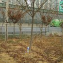 이천농원 이미지