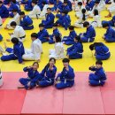 세이퍼 유도&주짓수 이미지