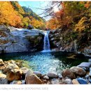 JIRI VALLEY 이미지