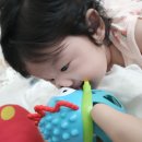 훈민초등학교 | DAIRYㅣBABY 꼬야 D+134~135 엄마랑 벽그림 병풍 훈민 사용시기 국민병풍 세이펜 호환 내돈내산 솔직후기