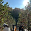 추계농장 이미지