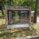 남동구 장아산근린공원 무장애나눔길 네이버블로그