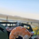 투투식당 | 대부도 대하구이 · 강아지와 함께한 애견동반 맛집 투투새우 내돈내산 후기 🦐