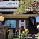 카페 예다원 이미지