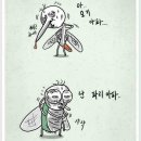 아프지마요 - 91382 | 아프지마요