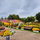 만남파크 이미지