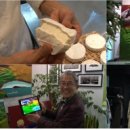 장수원민박 이미지