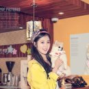 덕수네애견 이미지