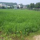 모야농산물