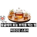 둥글레차 효능 부작용 먹는법 자연건강 스토리