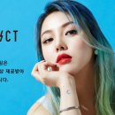 포니PC 이미지
