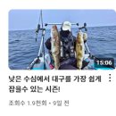 340 | &#39;쇼어지미&#39; 유튜버가 선택한 곰보트 340 후기! 고무보트 조립부터 대구낚시까지(ft. 340곰보트 + 시노보...