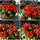 검단탑병원 이미지