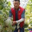 대성판매장 이미지