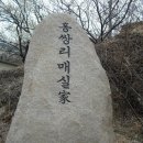 매화랜드 앞 이미지