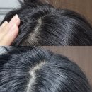 치자로 물들이기 | 엘지 리엔 물들임 염색샴푸 내돈내산 후기