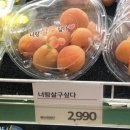 요즘과일