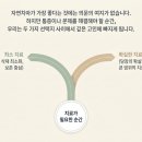 씨앤케이치과의원 이미지