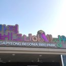 정원 | 방학시즌 아이랑 가볼만한 곳 가평베고니아새정원 후기