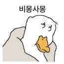 광장김밥