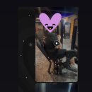 오르카짐 이미지