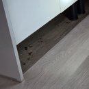 강진대구초등학교 이미지