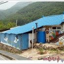 모운동펜션민박 티스토리