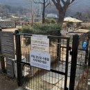 무브릭짐 | [남양주 애견카페] 잔디와 언덕이 있는 대형 애견카페 바닐라브릭 🍯&amp; 근처 애견동반가능식당 모락식당