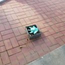 상인1동주민센터 이미지