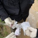 김포평화누리길 1코스 이미지